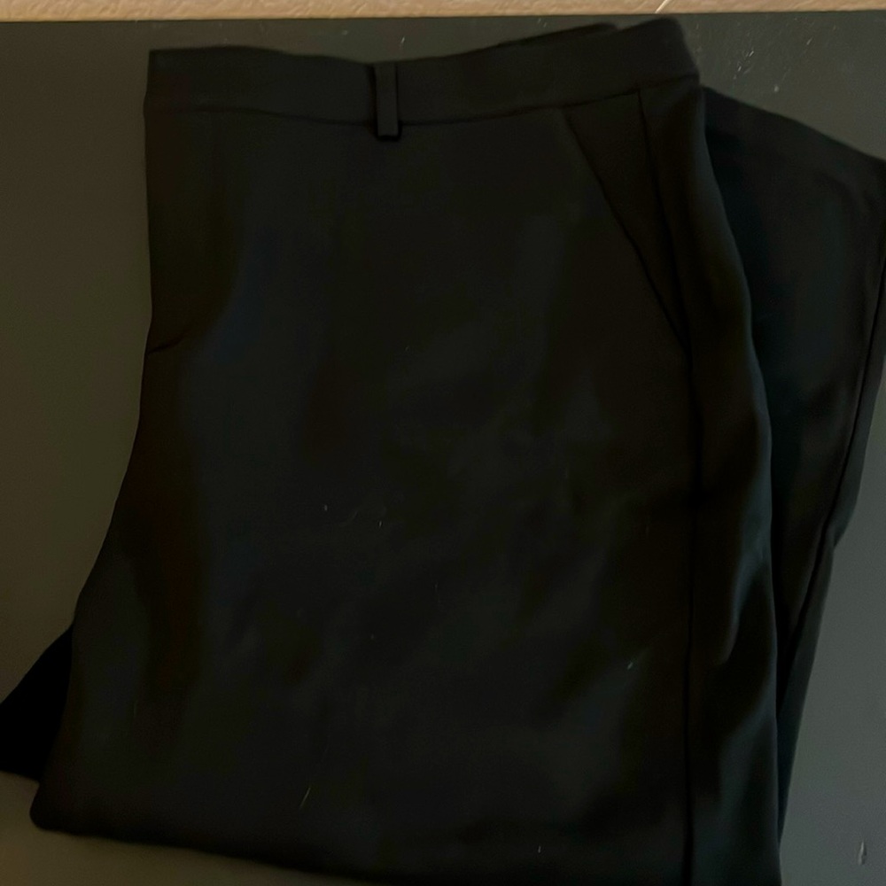 Torrid dress pants